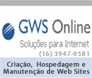  GWS - Soluções para Internet