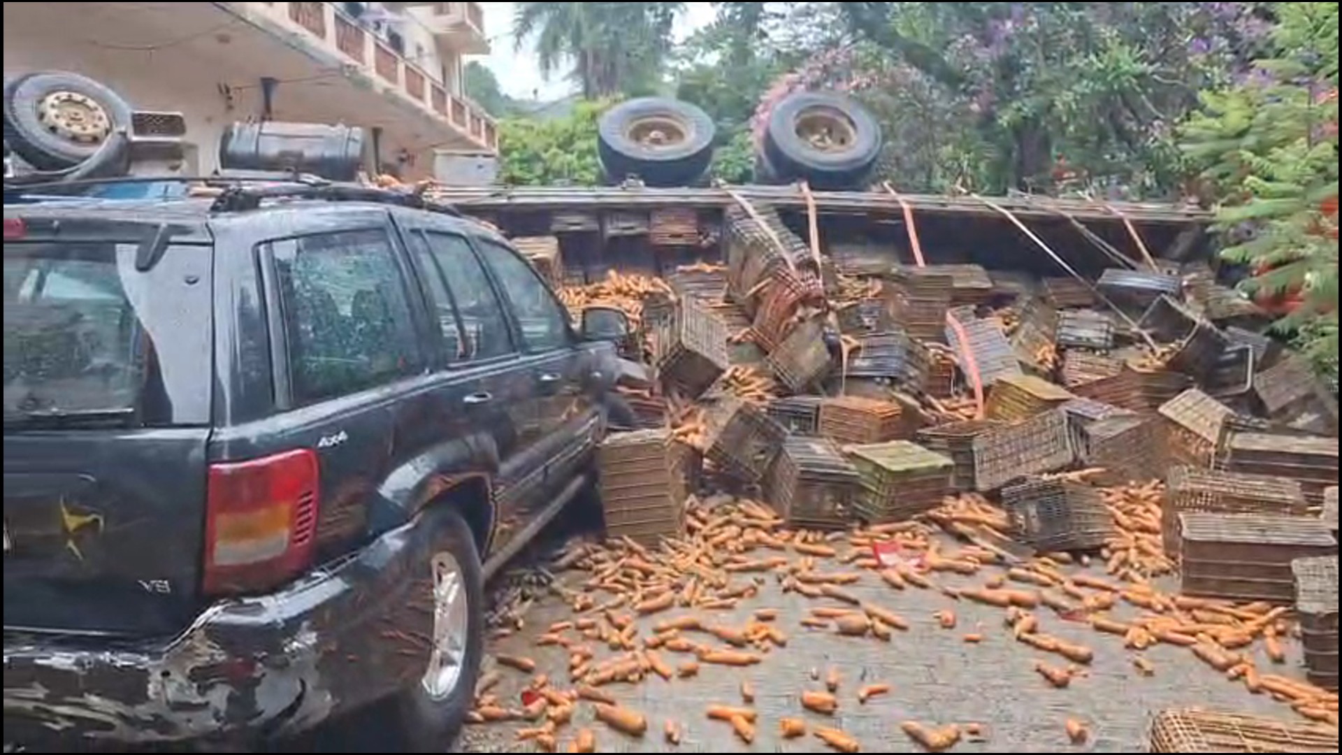 foto Not&iacute;cia Jaboticabal