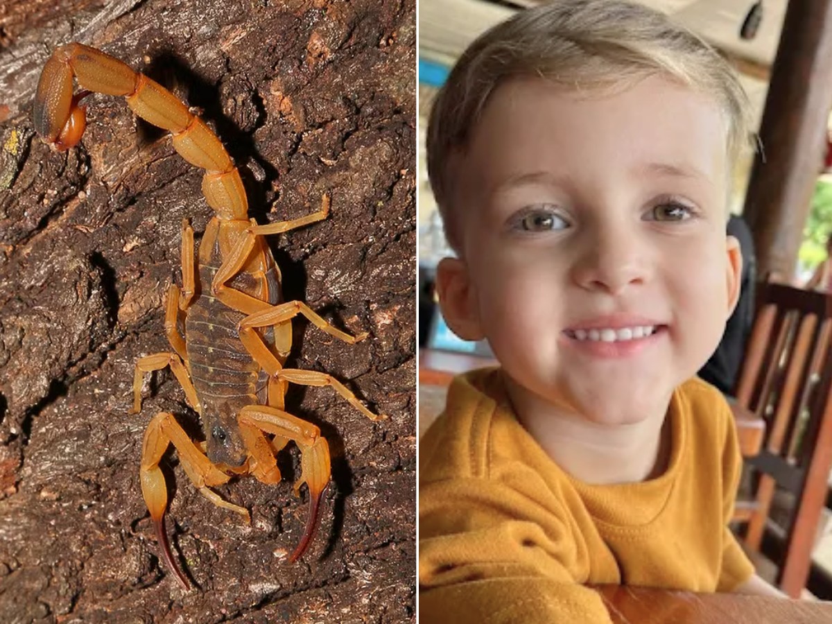 foto Not&iacute;cia Jaboticabal